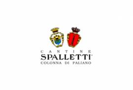 SPALLETTI COLONNA DI PALIANO