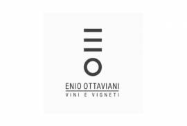 ENIO OTTAVIANI VINI E VIGNETI