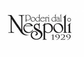 PODERI DAL NESPOLI