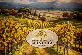 SPINETTA AZIENDA AGRICOLA di MONTI E ALTRI