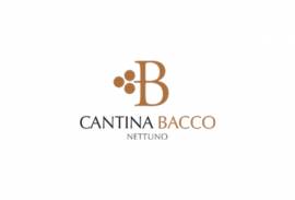 Cantina Bacco