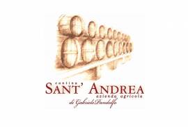 CANTINA SANT'ANDREA AZIENDA AGRICOLA di PANDOLFO G