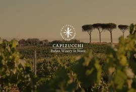 CAPIZUCCHI