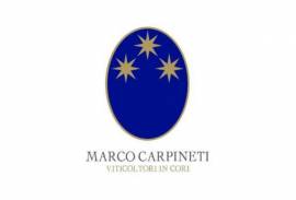 Marco Carpineti