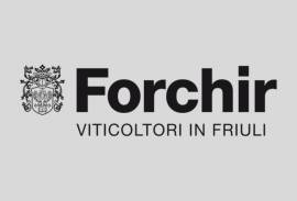 FORCHIR VITICOLTORI IN FRIULI