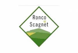 RONCO SCAGNET di COZZAROLO VALTER &amp; CO. S.