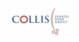 Collis – Veneto Wine Group – Società Cooperativa A