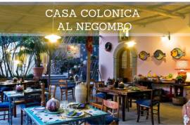 Casa Colonica al Negombo