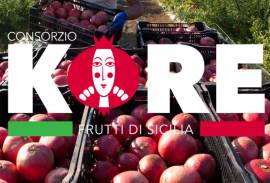 KORE FRUTTI DI SICILIA