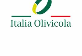 ITALIA OLIVICOLA SCARL