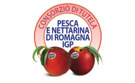 Consorzio Pesche e Nettarine di Romagna IGP