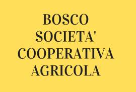 BOSCO SOCIETA' COOPERATIVA AGRICOLA