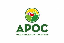 APOC Salerno-soc. agr. coop. arl