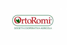 ORTOROMI SOCIETA' COOPERATIVA AGRICOLA