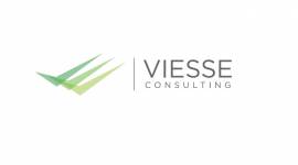 Viesse Consulting Srl