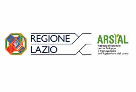 REGIONE LAZIO - ARSIAL