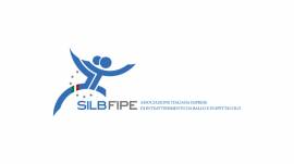 Silb - Fipe