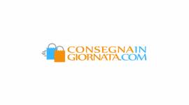 Consegnaingiornata.com