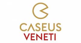 Caseus Veneti 