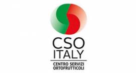 CSO Italy