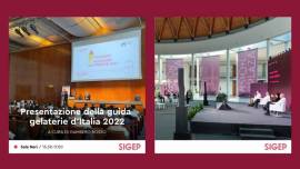 Sigep - Italian Exhibition Group