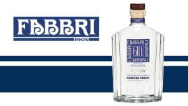 Dry Gin Fabbri